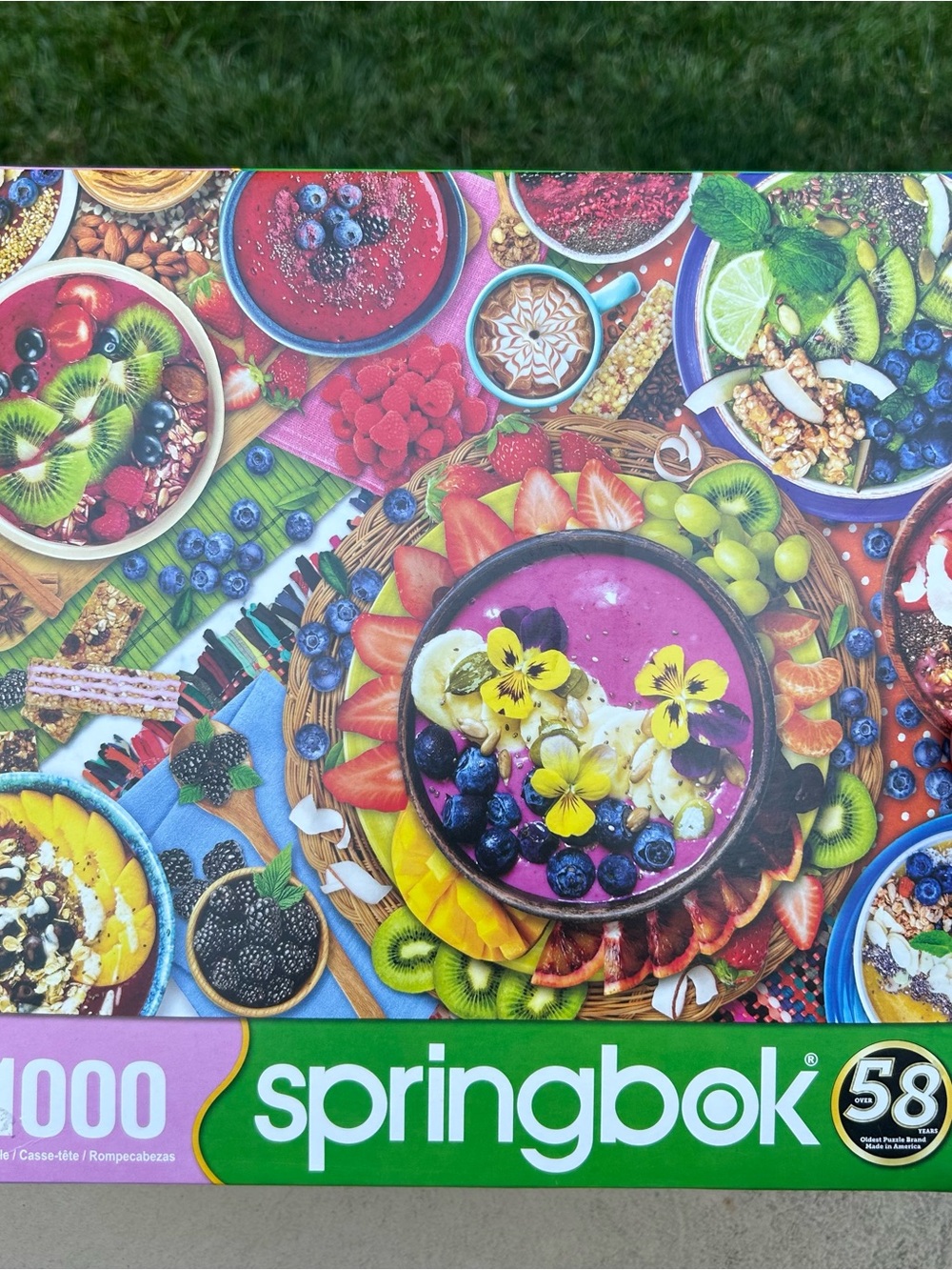 Springbok 1000-Piece Colorful Smoothie Bowl Puzzle - Multicolor